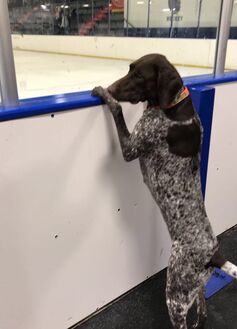 Mark coaching hockey